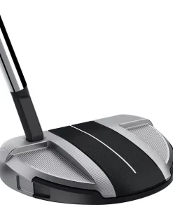 TaylorMade Golf Taylormade Spider GT Rollback Silver/Black Small Slant Putter