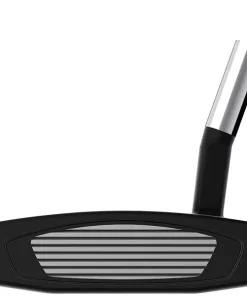 TaylorMade Golf Taylormade Spider GT Splitback Small Slant Putter -Golf Clubs Shop spider gt splitback short slant putter face view
